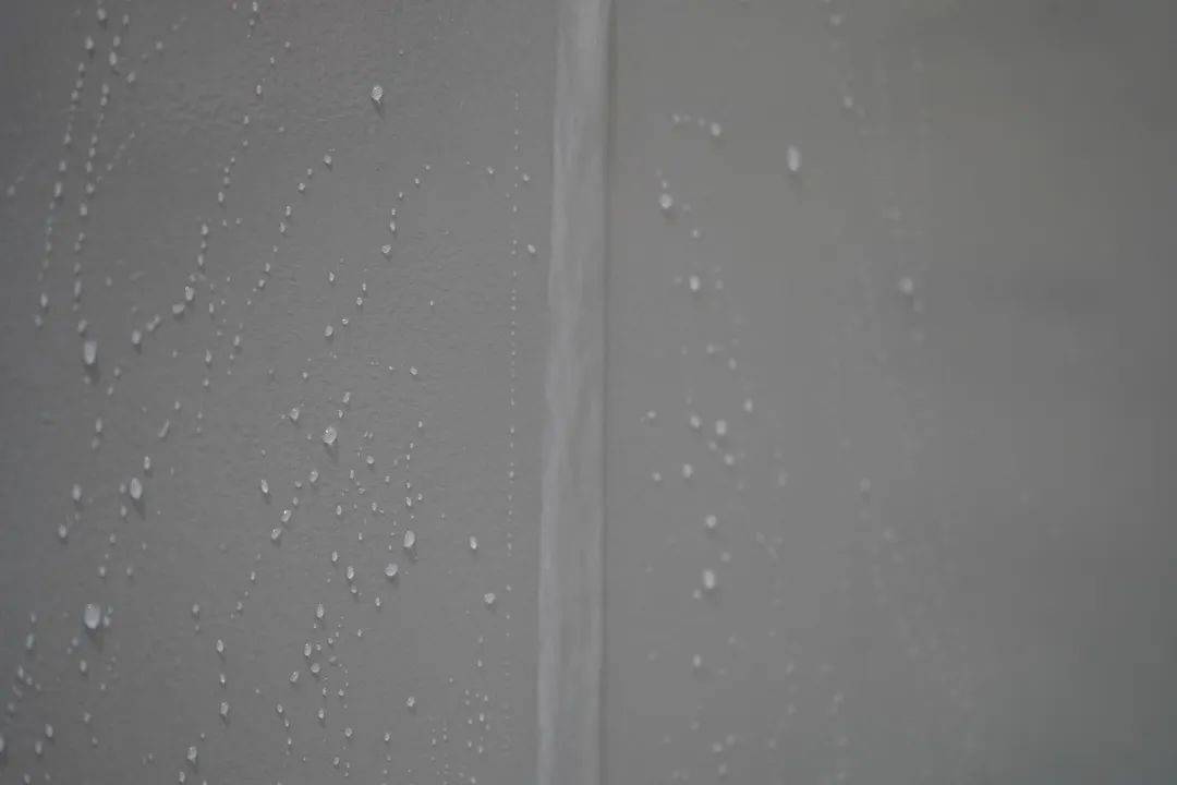 一場(chǎng)發(fā)布會(huì)，展開微水泥革命 | 2023萬(wàn)磊廣佛千人行完滿成功