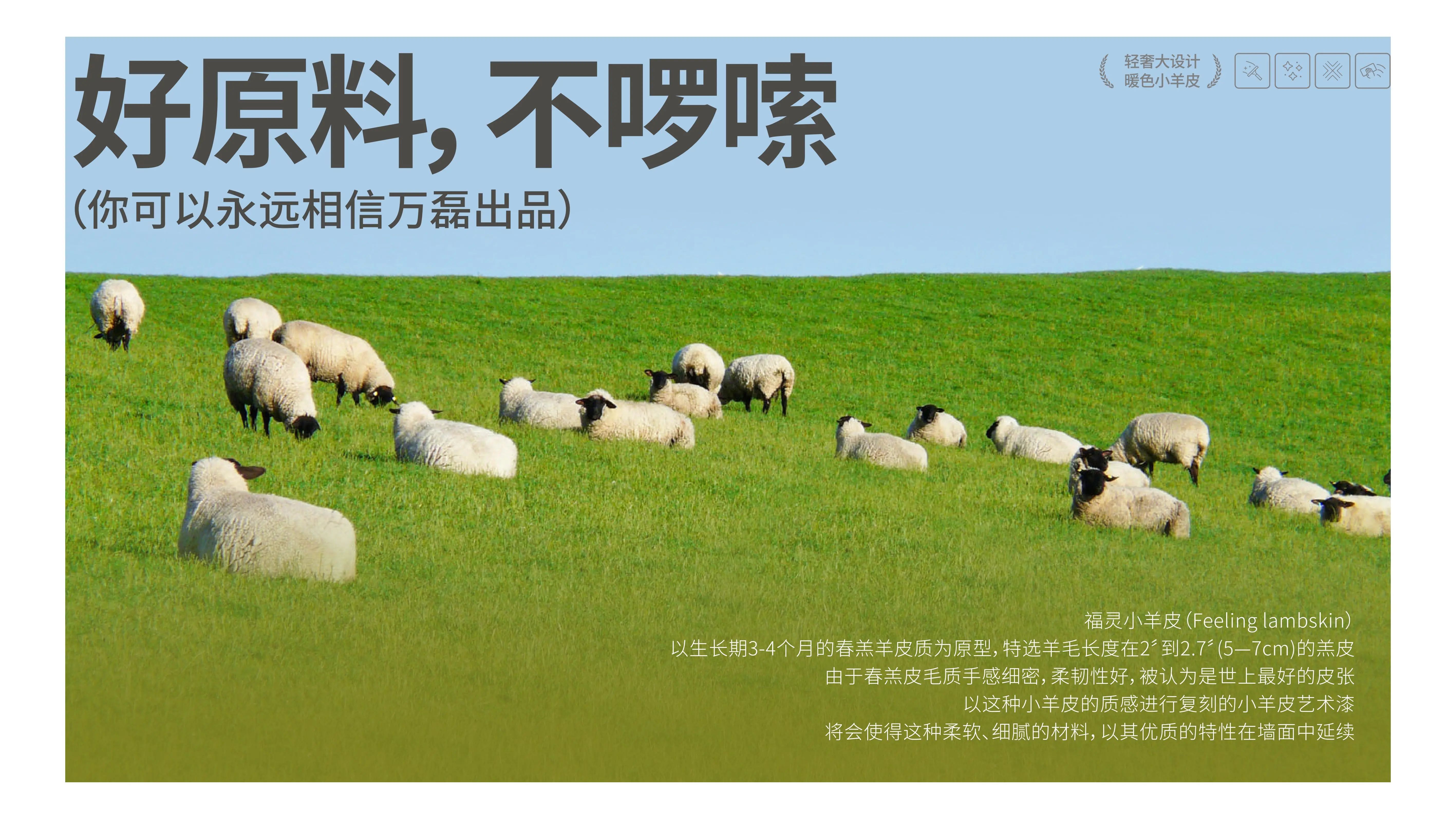 萬磊福靈小羊皮來啦！多樣的表面質(zhì)感等您來解鎖~