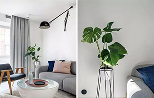 硅藻泥新產(chǎn)品【泥中寶】代替膩?zhàn)臃?> </a> </div>
    </Div>
        <div   id=