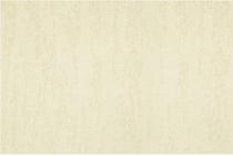 水性硅藻泥-米洞石TR+E8A