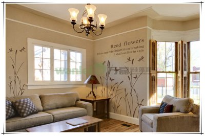 硅藻泥，更好的隔音減噪墻面涂料