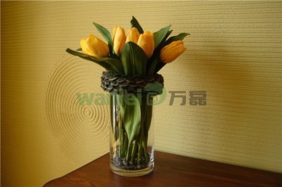 有了硅藻泥，新房入住不再等！