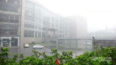 驚蟄過，春雨至，硅藻泥讓你告別濕轆轆